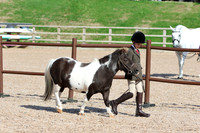 LAR_1047