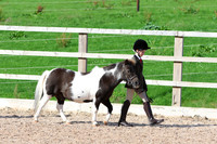 LAR_1060