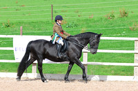 20.09.26 HDRC Show, Aberhall Equestrian