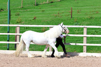 LAR_0837