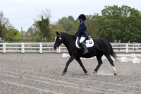 ARENA 1 - All dressage tests between 10:00 - 11:00