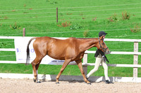 LAR_0843
