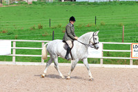 LAR_0528