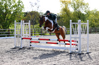 13 - Pony Novice 80cm