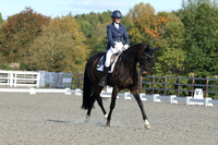 ARENA 2 - All Dressage Tests between 14:00 - 15:00