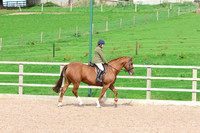 LAR_0581