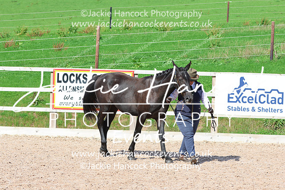 LAR_0917