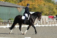 ARENA 1 - All Dressage Tests between 10:00 - 11:00