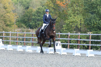 ARENA 2 - All Dressage Tests between 13:00 - 14:00