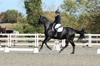 ARENA 2 - All Dressage Tests between 11:45 - 13:00