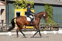 ARENA 1 - All Dressage Tests between 12:30 - 13:30