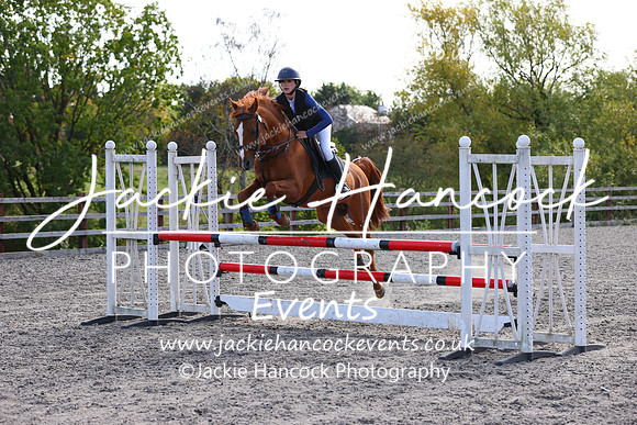 MCP_2398