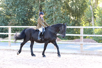 LAR_1617