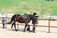 LAR_1054