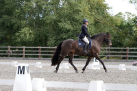 ARENA 1 - All dressage tests between 13:00 - 14:00