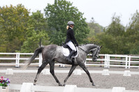 ARENA 1 - All dressage tests between 11:00 - 12:00