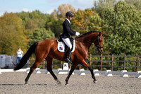 ARENA 2 - All Dressage Tests between 12:30 - 13:30