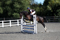 All Showjumping between 14:00 - 16:00