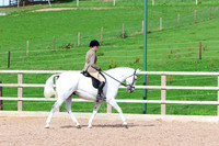 LAR_0739
