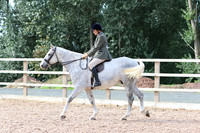 LAR_0535