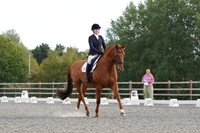 ARENA 2 - All Dressage Tests between 10:30 - 11:30