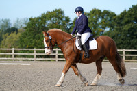 All Dressage Tests between 11:00 - 12:00