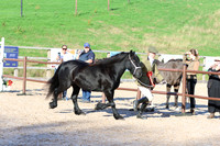 LAR_1561