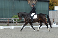 ARENA 1 - All Dressage Tests between 12:00 - 13:00