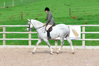 LAR_0540