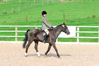 LAR_0678