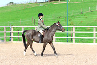 LAR_0677