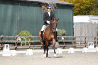 ARENA 1 - All Dressage Tests between 13:00 - 14:00