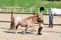 LAR_1049