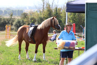 Show Jumping & General Showground