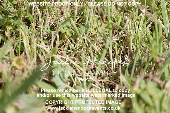 R5JH0815