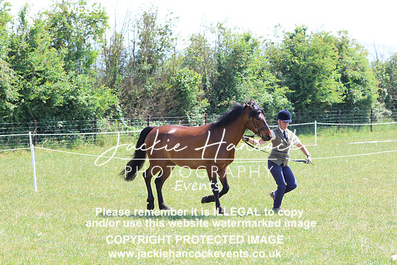 LAR_6907