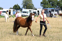 LAR_7209
