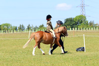 LAR_6566