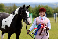 Inhand Championships