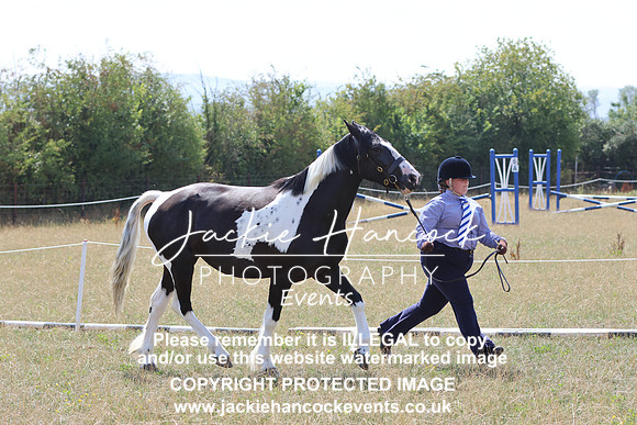 LAR_7666