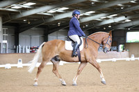 20.07.25 Unaffiliated Dressage, Stourport Riding Centre