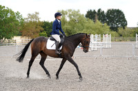 Class 6 - Novice 1/80cm Arena 2