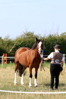 LAR_7192