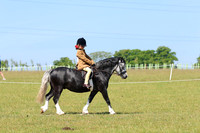LAR_6421