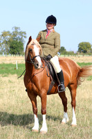 LAR_7105
