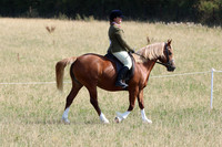LAR_7109