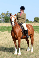 LAR_7104