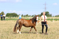 LAR_7202