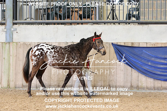 LAR_2288