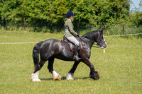 DSC01410